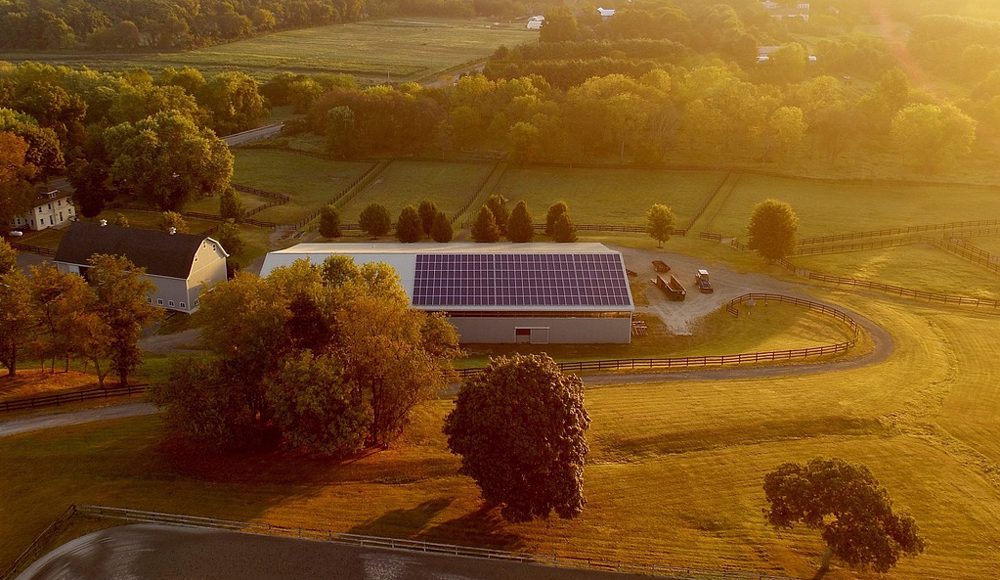 agrovoltaica sabia energia