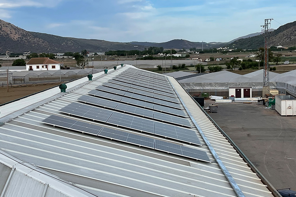 Nuestro Señor de las Tres Marías Cooperativa Agrícola