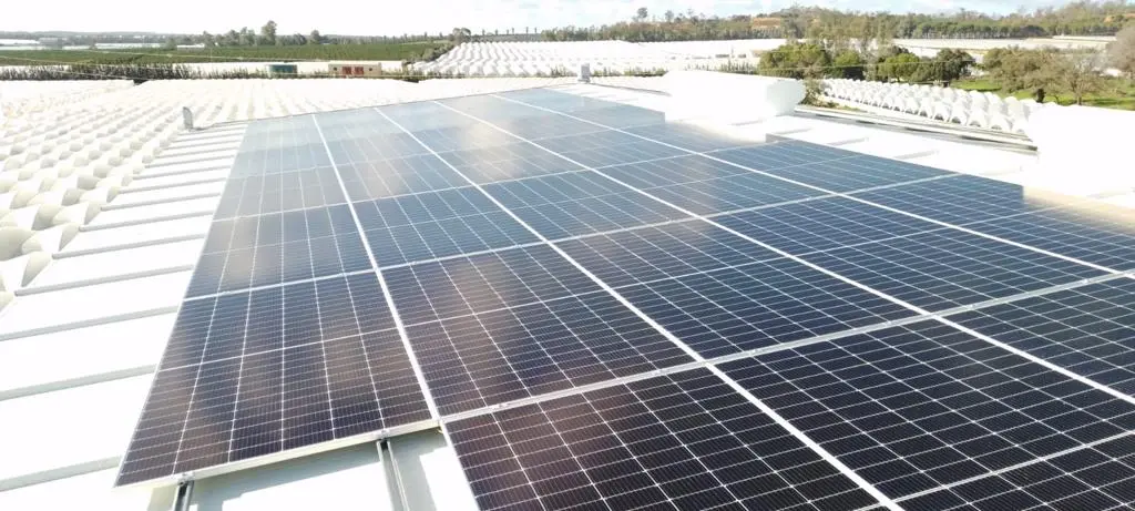 Fresas La Mimbre proyecto instalación fotovoltaico